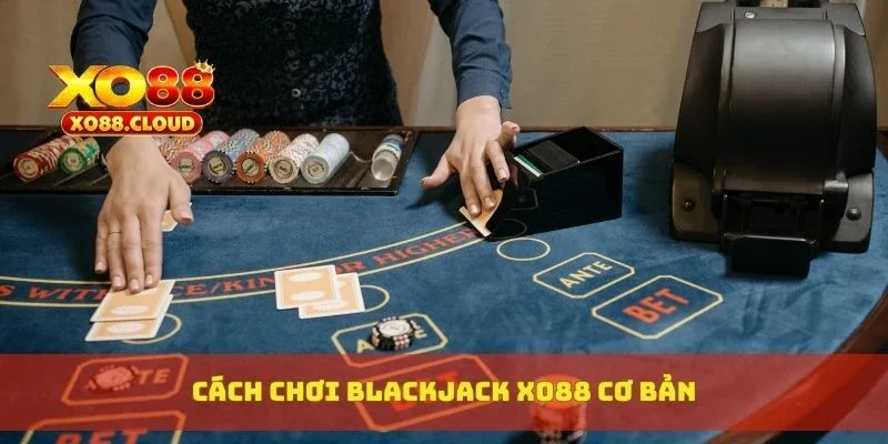 Blackjack Xo88 – Luật Chơi Mẹo Đếm Bài Và Tỷ Lệ Trả Thưởng 2 Cách chơi blackjack XO88 cơ bản