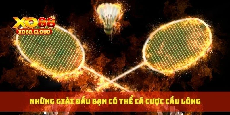 Cá Cược Cầu Lông tại XO88 – Tỷ Lệ Đẹp, Cơ Hội Thắng Cực Cao 4 Những giải đấu bạn có thể cá cược cầu lông