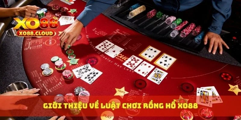 Rồng Hổ Xo88 Là Gì? Cách Chơi Và Mẹo Thắng Cực Kỳ Hiệu Quả 2 Giới thiệu về luật chơi Rồng Hổ XO88
