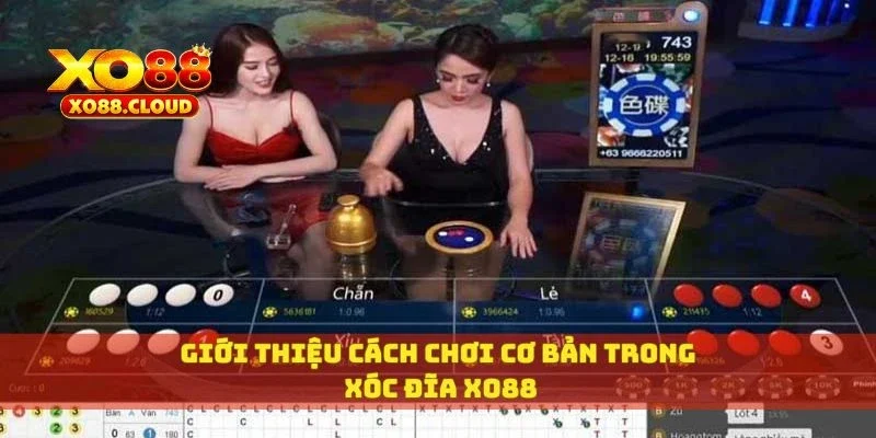 Chơi Xóc Đĩa Xo88 Chuẩn Dân Chơi – Mẹo Thắng Nhà Cái Dễ Dàng 2 Giới thiệu cách chơi cơ bản trong xóc đĩa XO88